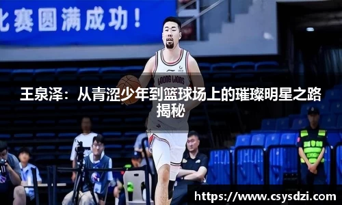 球速体育平台登录入口